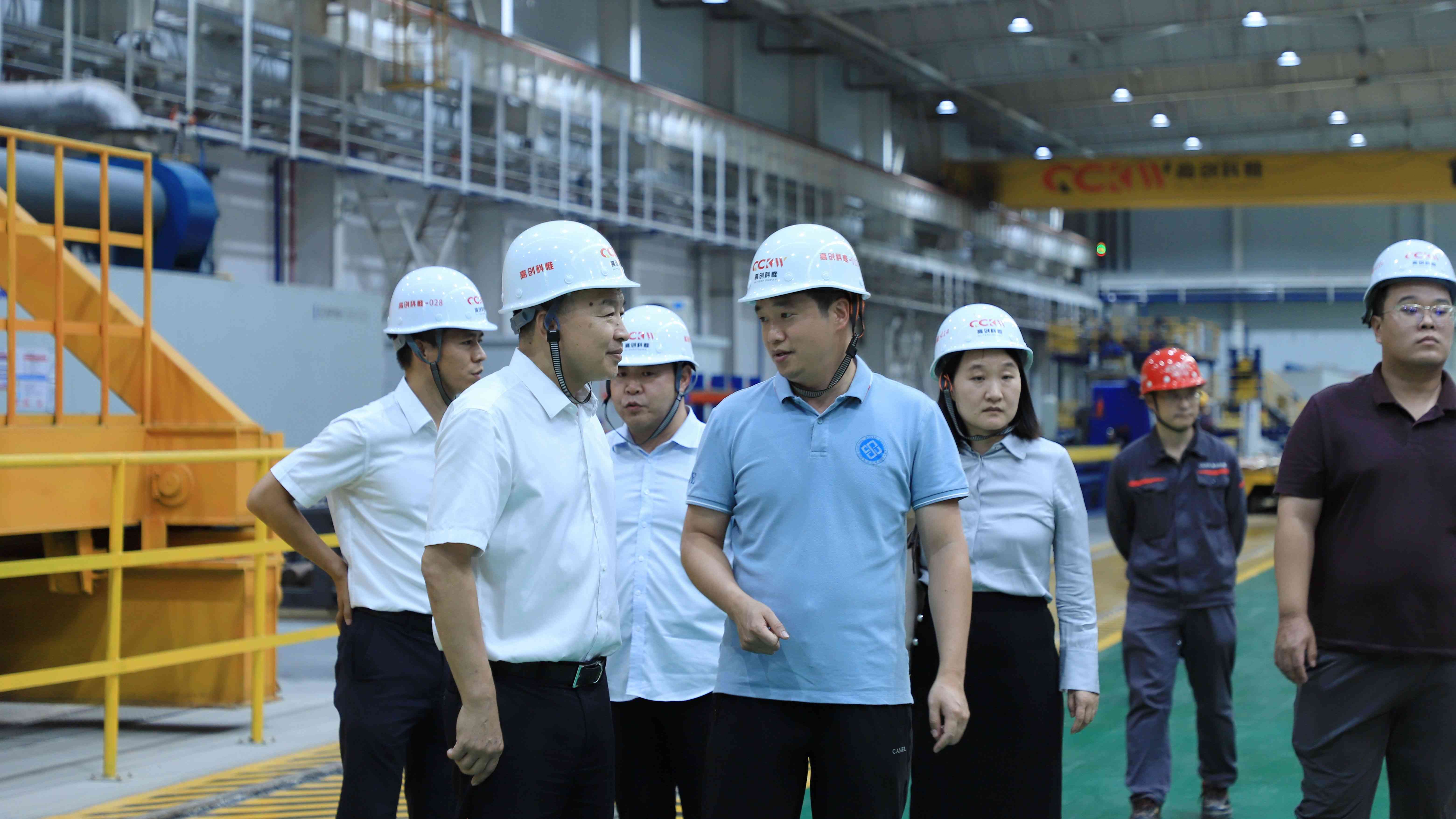 中国有色金属加工工业协会靳海明秘书长一行莅临我司调研